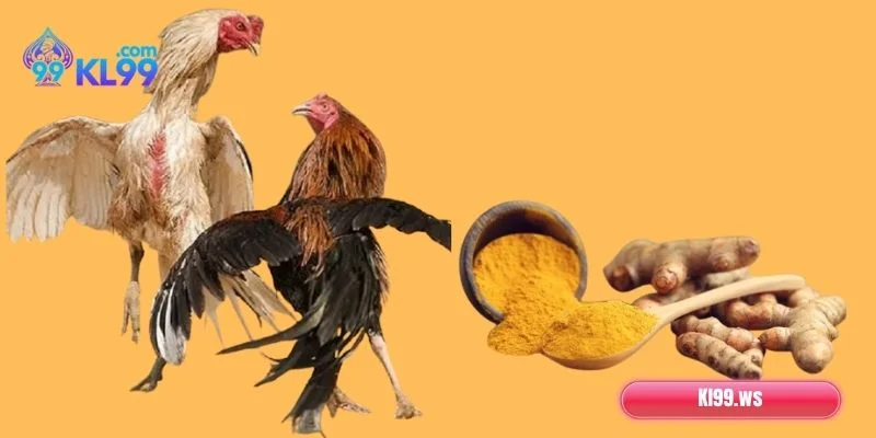 Vào Nghệ Gà Chọi: Hướng Dẫn Thực Hiện Siêu Nhanh, Đơn Giản 1 Hướng dẫn cách vào nghệ gà chọi suôn sẻ, mượt mà